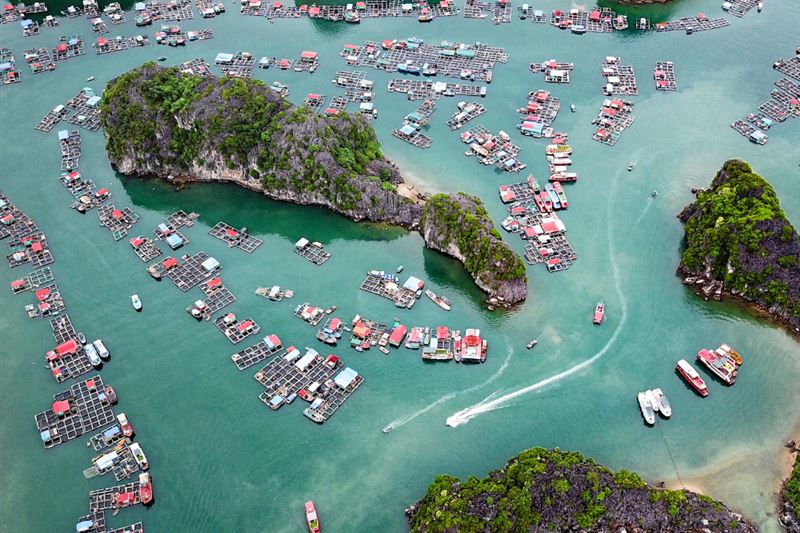 Lan Ha Bay - Cat Ba Island 2D1N Cruise with Meals, Kayaking, Biking