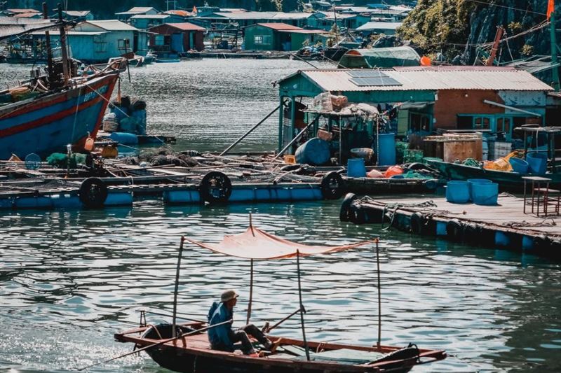 One Day Cruise to Explore Lan Ha Bay from Cat Ba Island