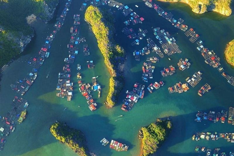 Lan Ha - Ha Long Bay 1 Day boat trip - Kayaking from Cat Ba, avoid the crowds