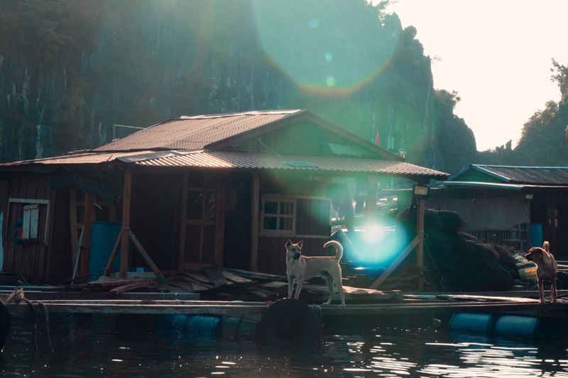 Serenity Luxury Day Cruise - Embark on a Journey to Lan Ha Bay from Hanoi