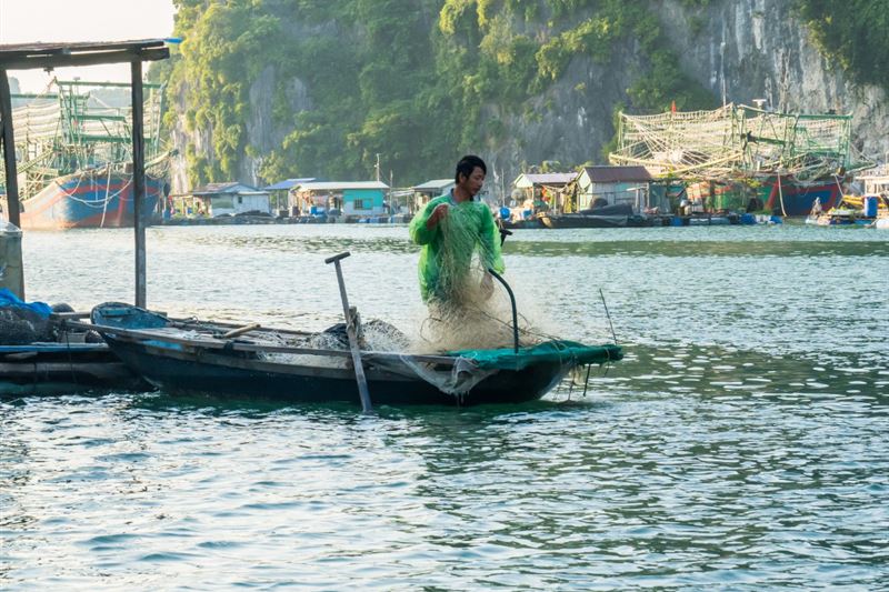 Discover the Hidden Gems of Lan Ha - Day Cruise from Cat Ba