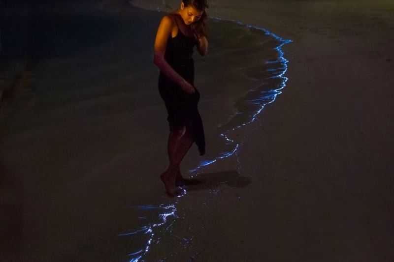 Experience the Sunset and Plankton Bioluminescent Night Kayak from Cat Ba Island