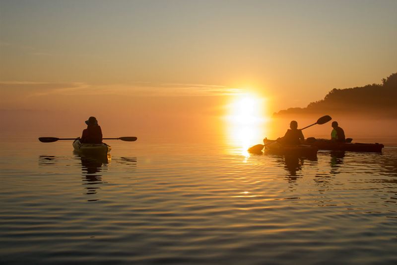 Experience the Sunset and Plankton Bioluminescent Night Kayak from Cat Ba Island