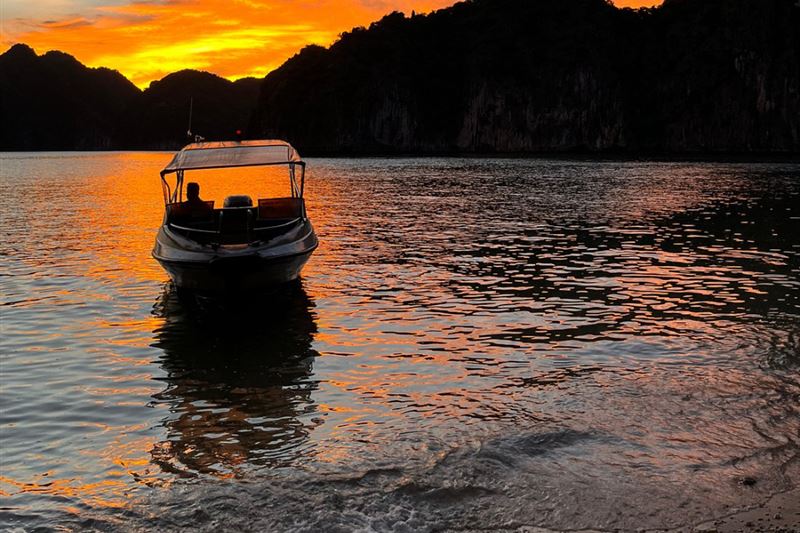 Experience the Sunset and Plankton Bioluminescent Night Kayak from Cat Ba Island