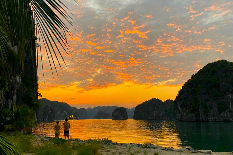 Experience the Sunset and Plankton Bioluminescent Night Kayak from Cat Ba Island