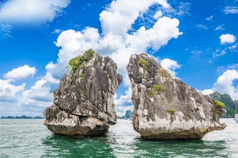 Halong Bay Sightseeing 2-hour With Private Yacht