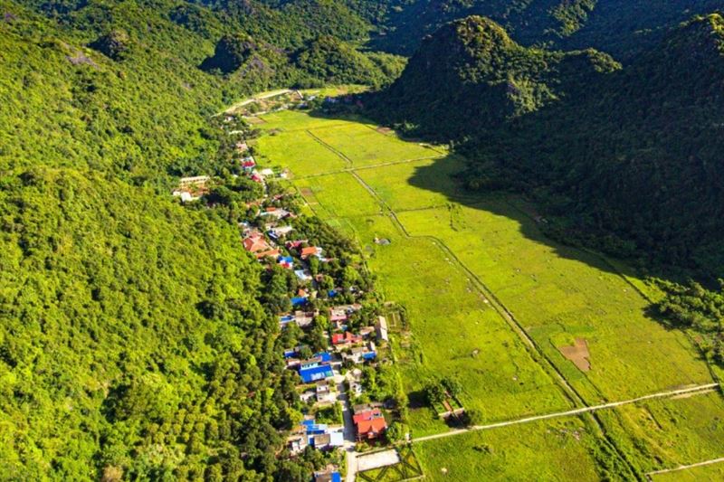 One-day trekking adventure: Cat Ba National Park - Viet Hai Village from Cat Ba