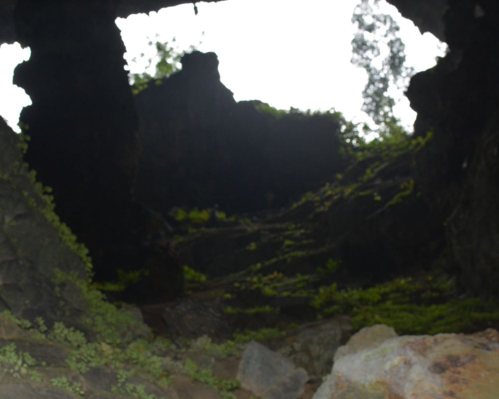 Bat-Cave